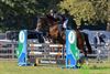 Oudsbergen - Pascal Wouters en Kyan in actie