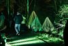 Beringen - Lichtfestival Luminatura komt naar Beringen