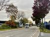 Beringen - Onderhoudswerken Beverlosesteenweg