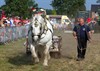 Neerpelt - Veel volk (en paarden)... (2)