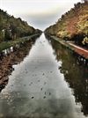 Neerpelt - De schoonheid van het kanaal in de herfst