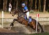Overpelt - 600 paarden in eventing in Holheide