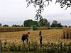 Hamont-Achel - Gisteren gezien...
