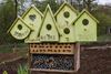 Beringen - Bijenhotels in de Beringse volkstuintjes