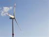 Beringen - Groen wil windmolens met echte burgerparticipatie