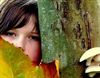 Hamont-Achel - Herfst in de Hoek