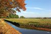 Hamont-Achel - Herfst bij de Achelse Kluis