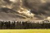 Overpelt - Dreigende donkere wolken boven het Hobos