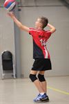 Lommel - Volley-dames Lovoc blijven winnen