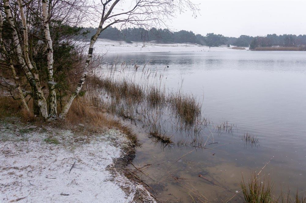 Lommel - De Eerste Winterprik, De Eerste Sneeuw - Internetgazet