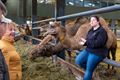 KWB bezoekt unieke kamelenboerderij