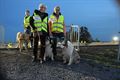 1000 honden voor Industrial Dog Walk