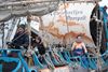 Zwiebertjes schitteren in carnavalsoptocht