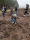 WICO-leerlingen plantten een bos