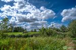 Juni: meer regen, minder zon