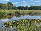 Natuurherstel aan Melkpad hervat na bouwverlof