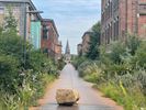 Avontuurlijke bijenwandeling