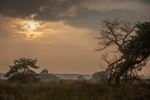 't Is augustus, de heide staat in bloei