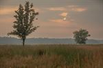 't Is augustus, de heide staat in bloei