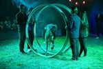 Circus Tetam in Beringen