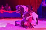 Circus Tetam in Beringen