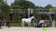 De wereldtop is gearriveerd bij Tops