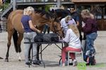 De wereldtop is gearriveerd bij Tops