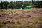 Plag- en chopperwerken op de Blekerheide