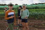 Laatste kampje 'Blij op de boerderij'