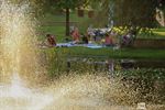 Zomerlezen in het Astridpark