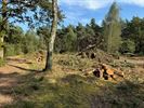 Natuurpunt aan het werk in het Kolisbos