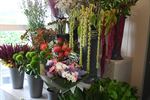 Bloemen bij  Flowercreations in Kattenbos