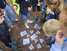 Teambuilding voor eerstejaars