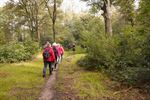 Start estafettewandeling