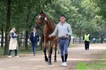 Drie Lommelaren op WK 'Jonge paarden'