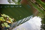 Het leven op en onder de Lommelse bruggen