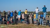 4.300 bezoekers op Burenkijkdag Kleine Brogel