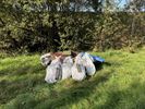 World Clean-Up Day op het Hageven – de balans