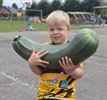 Courgette wedstrijd Tuinhier 't Hent-Lille