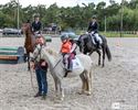 Opening vernieuwde paardenrijpistes Sint-Pieter