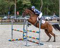 Opening vernieuwde paardenrijpistes Sint-Pieter