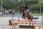 Opening vernieuwde paardenrijpistes Sint-Pieter