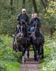 Opening vernieuwde paardenrijpistes Sint-Pieter