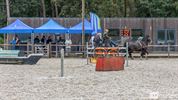 Opening vernieuwde paardenrijpistes Sint-Pieter