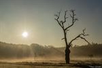 Het Hobos in het ochtendgloren