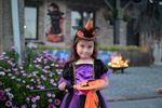 Trick or Treat op de Hei in Paal