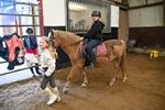 Halloween paardenkampen De Vlindervallei