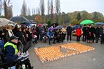 Poëzie en muziek op de kerkhoven