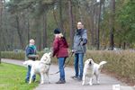 Tatra-hondenwandeling in Kattenbos