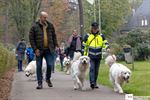 Tatra-hondenwandeling in Kattenbos